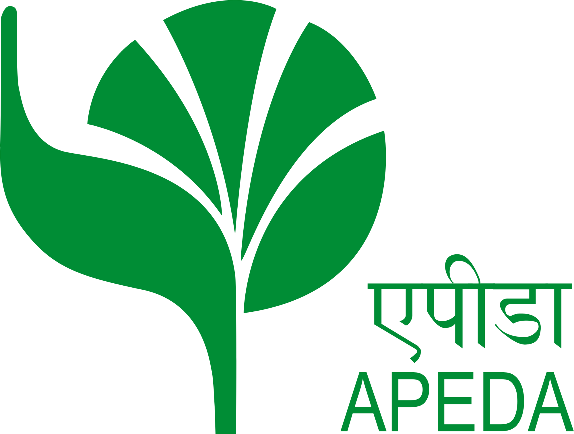 Apeda Certification