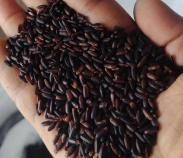 Black Rice - Premium Quality