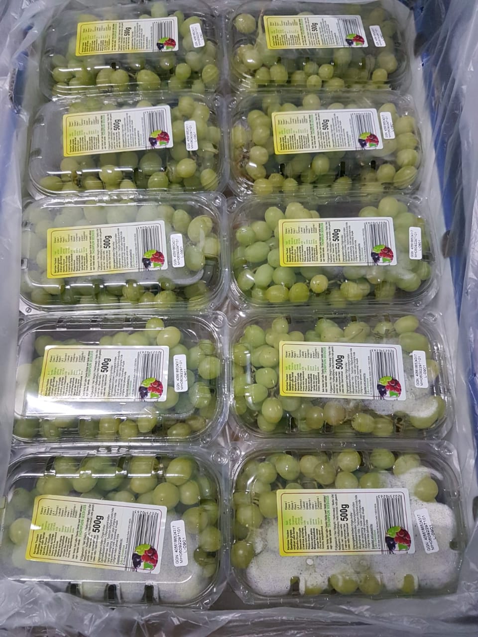 Grapes - Ready for Export