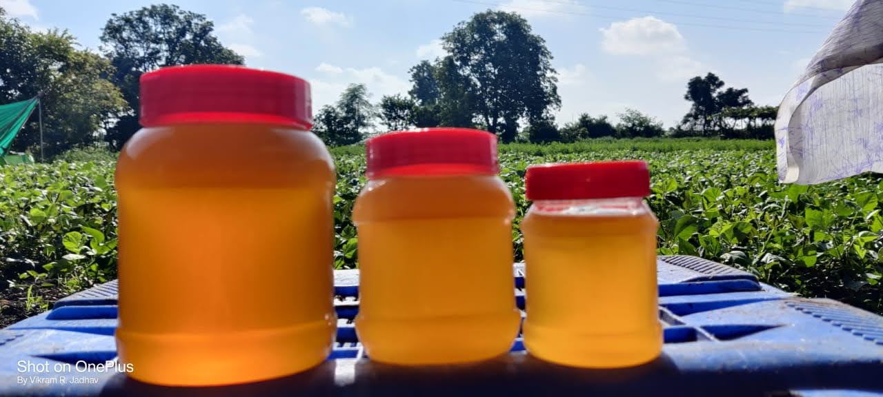 Honey - Ready for Export