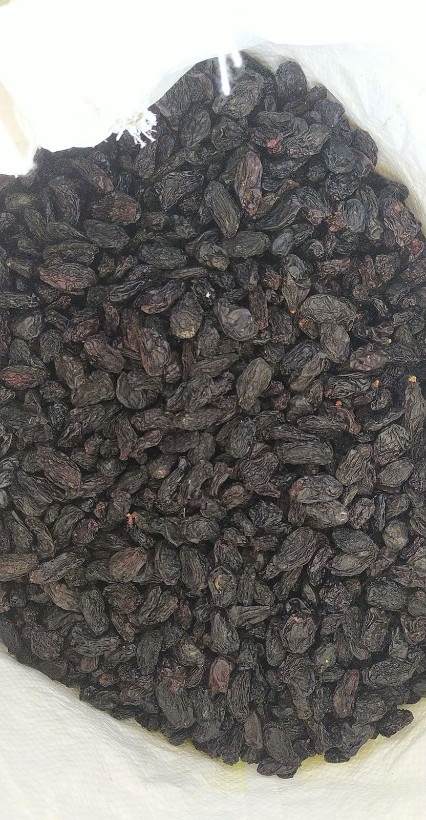 Cashew Kernel - Premium Quality